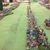 Woyke's Spanish Colonials (dog's Theme)