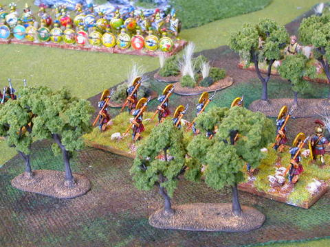 Warrior Rule Book Photos - 004 Warrior Rule Book Photos - 004