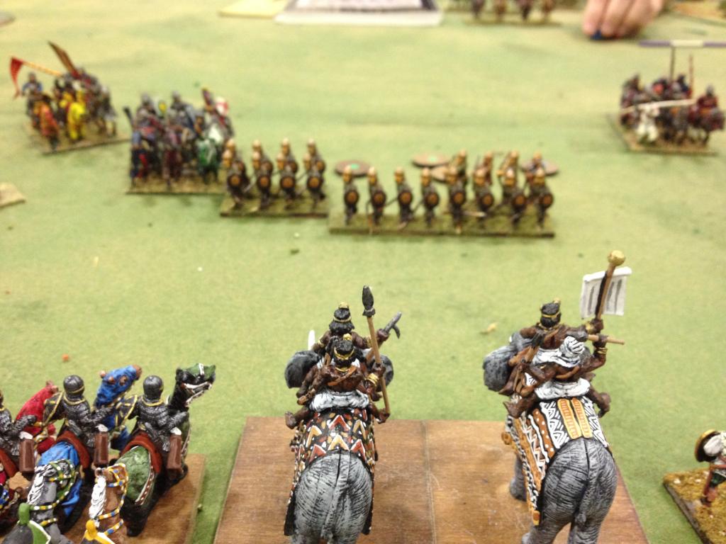 Abyssinians Vs. Moldavians Abyssinians Vs. Moldavians