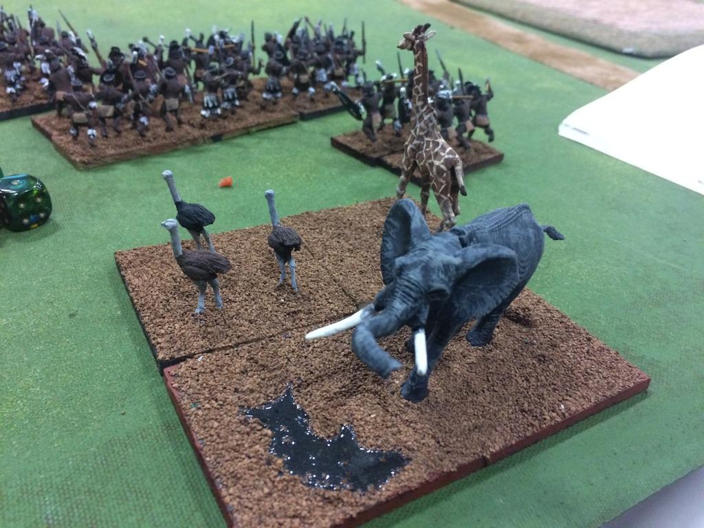 Zulu Camp Zulu Camp