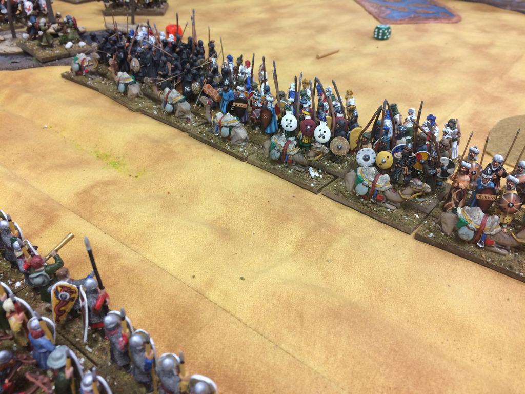 Tethered Camels Tethered Camels