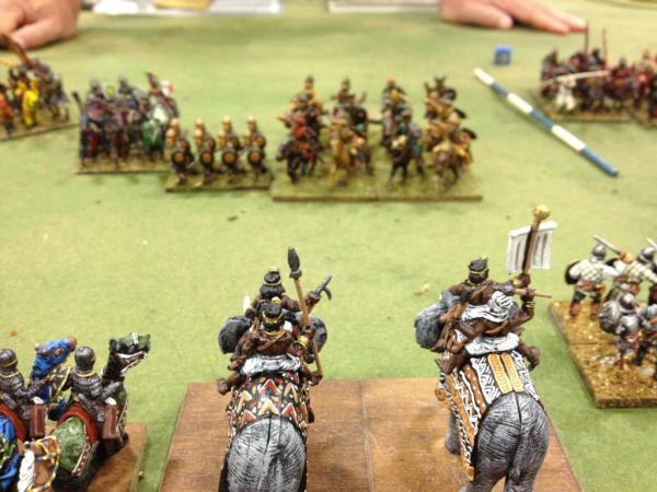 Abyssinians Vs. Moldavians Abyssinians Vs. Moldavians