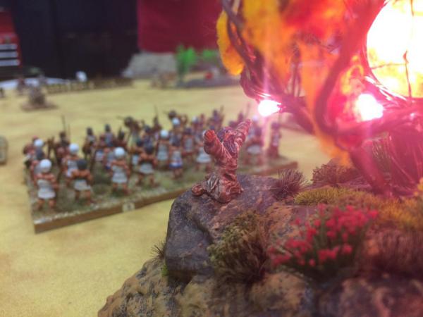 Burning Bush - Close Up Burning Bush - Close Up