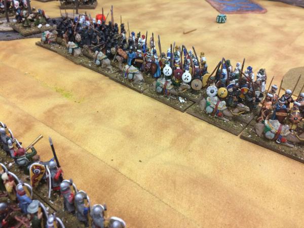 Tethered Camels Tethered Camels